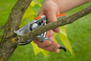 Инструмент для обрезки деревьев